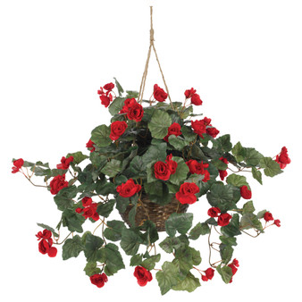 Begonia Hanging Basket - Red (6616-RD)