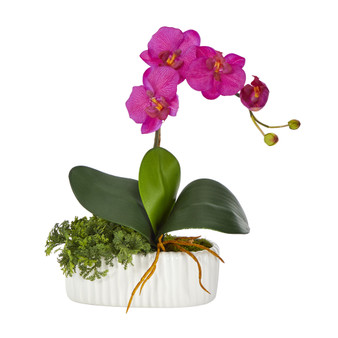 13" Mini Orchid Phalaenopsis Artificial Arrangement In White Vase (A1433)