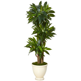 64" Corn Stalk Dracaena Artificial Plant In Urn Planter (Real Touch) (T1074)