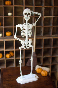 Rustic White Metal Skeleton On A Stand - #2 (CMN1541)