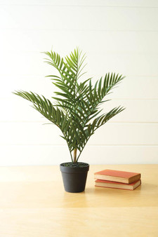 Artificial Areca Palm In A Black Pot (CYF1410)