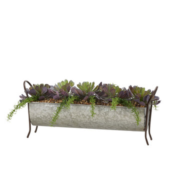 Pinwheel Succulents In Rectangle Metal Planter With Wire Legs (204010)
