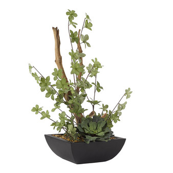 Ghostwood And Double Ruffle Echeveria In Square Metal Planter (209007)