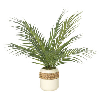 Areca Palm Fronds In Cream Ceramic Planter (212032)