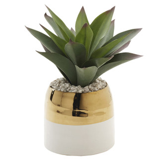 Large Aloe Plant In Cream/Gold Ceramic Planter (212041)