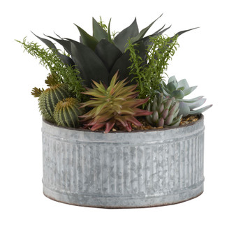 Frosted Green Echeveria, Flocked Agave, Springeri And Succulents In Shourt Round Zinc Planter (212057)