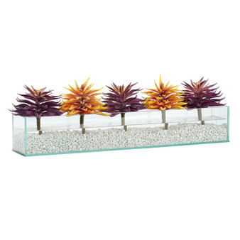Orange And Purple Single Stem Succulents In Large Rectangle Aquarium Glass (212070)