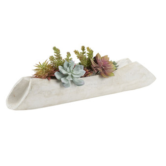 Flocked Agave With Assorted Echeveria And Succulents In White Wash Log (212130)