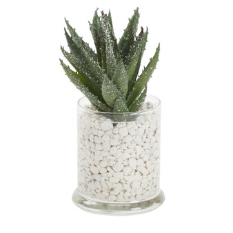 Succulent In Glass Candle Jar (212252)