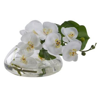 White Orchids In Glass Bowl (212276)