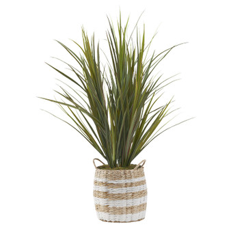 40: Grass In Round Tan/White Basket With Handles (321203)