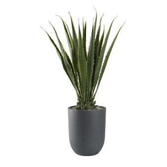 52" Agave Plant In Small Round Grey Planter (321218)