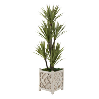 48" Yucca Tree In Small White Wooden Box Planter (321236)