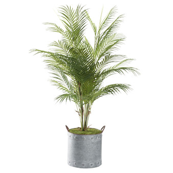 44" Areca Palm In Round Tin Planter (321251)