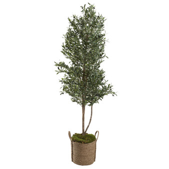 7' Olive Tree In Natural Round Jute Basket (321252)