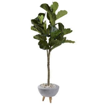 68" Fiddle Leaf Fig Tree In White Bowl With Wood Legs (321260)