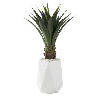 Jumbo Agave Planter In White Geometric Resin Planter (321295)