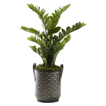 39" Zimfolia Plant In Round Metal Planter With Holes (321298)