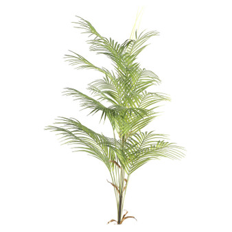 42" Areca Palm (TL911)