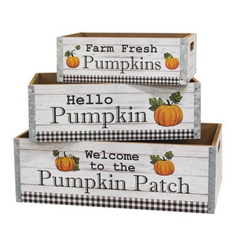 Set Of 3 Welcome to the Pumpkin Patch Crates GWFF257543S