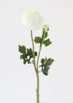 Cream White Ranunculus Silk Flower - 18.75" SLK-FSR277-WH