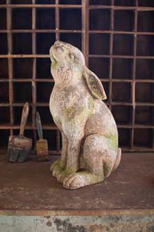 Faux Concrete Rabbit - Head Up (CHE1470)