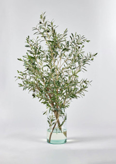 Artificial Olive Branch Arrangement In Glass Vase - 49" SLK-WF9291-GR/TT