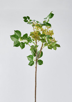 Artificial Tall Privet Seeded Leaf Branch - 46" REG-MTF23884-GRN