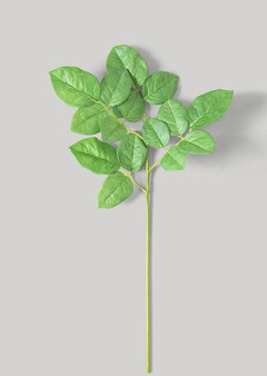 Artificial Rose Leaves Stem - 19" SLK-FSR247-GR