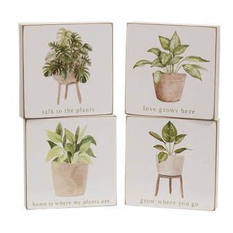 Love Grows Here House Plant Square Block 4 Assorted (Pack Of 4) G37798