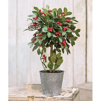 Potted Holly W/Berry Topiary 18"