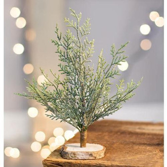 Frosted Cypress Tree 8"
