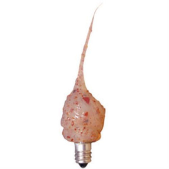 Spicy Rosehip Moonscent Bulb 3W (5 Pack)