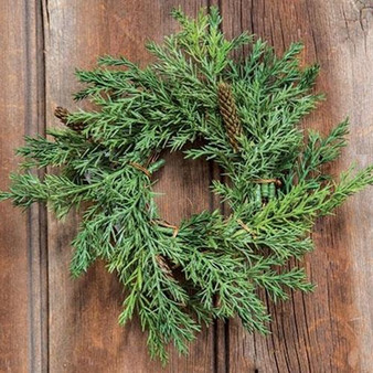 6" Prickly Pine Candle Ring Green (5 Pack)