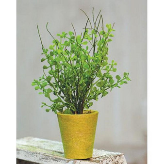 Potted Fern FBR36692 By CWI Gifts