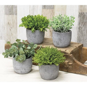 Potted Artificial Greenery (Pack Of 4) G2519050