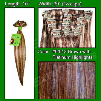 #6/613 Chestnut Brown With Platinum Highlights - 10 Inch PRST-10-6613
