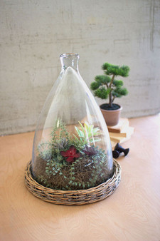 Decorative Large Glass Cloche With Wicker Base