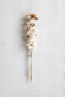 (12 Pack) Decorative Artificial Sola Flower Bouquet