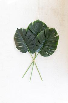 (6 Pack) Decorative Large Monstera Leaf Bundle