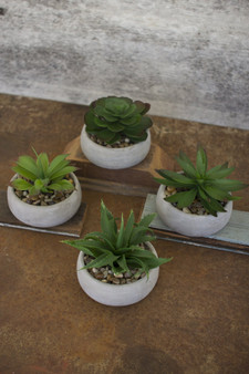 Four Set Artificial Succulents In Low Round Cement Pots