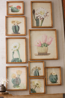 (9 Set) Cactus Flower Prints Under Glass