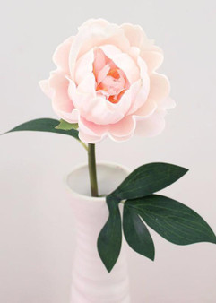 Real Touch Peony In Pink With Cream Accents - 20" Tall