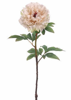 Peony Silk Flower In Blush Ivory - 21" Tall