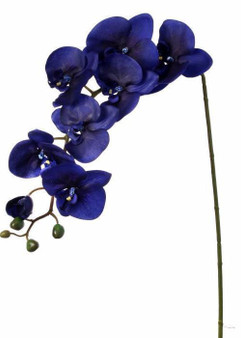 Silk Flower Phalaenopsis Orchid Spray In Dark Indigo Blue - 38" Tall