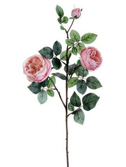 Silk Cabbage Rose Spray In Light Pink - 29" Tall