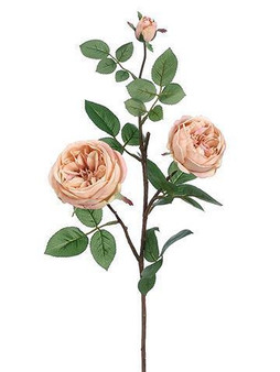 Silk Cabbage Rose Spray In Beige - 29" Tall