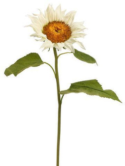 Faux Sunflower Stem In White - 6" Bloom (Bundle Of 2)