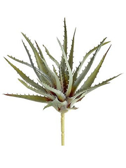 Soft Latex Artificial Aloe Pick - 6" Wide (Bundle Of 3)