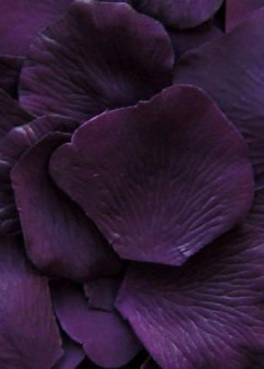 Bag Of 100 Silk Flower Petals In Eggplant (Bundle Of 3)